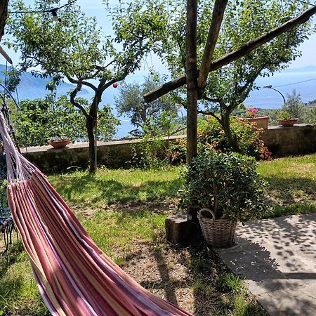 Amalfi Coast, Positano, Sorrento, Capri, Garden, Villa Carcara Colli di Fontanelle Exterior foto