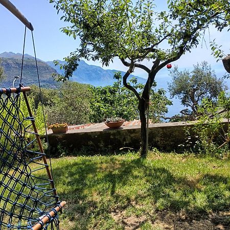 Amalfi Coast, Positano, Sorrento, Capri, Garden, Villa Carcara Colli di Fontanelle Exterior foto
