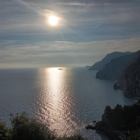 Amalfi Coast, Positano, Sorrento, Capri, Garden, Villa Carcara Colli di Fontanelle Exterior foto