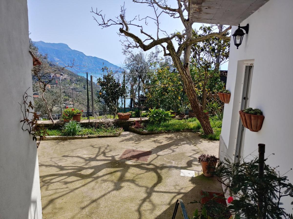 Amalfi Coast, Positano, Sorrento, Capri, Garden, Villa Carcara Colli di Fontanelle Exterior foto