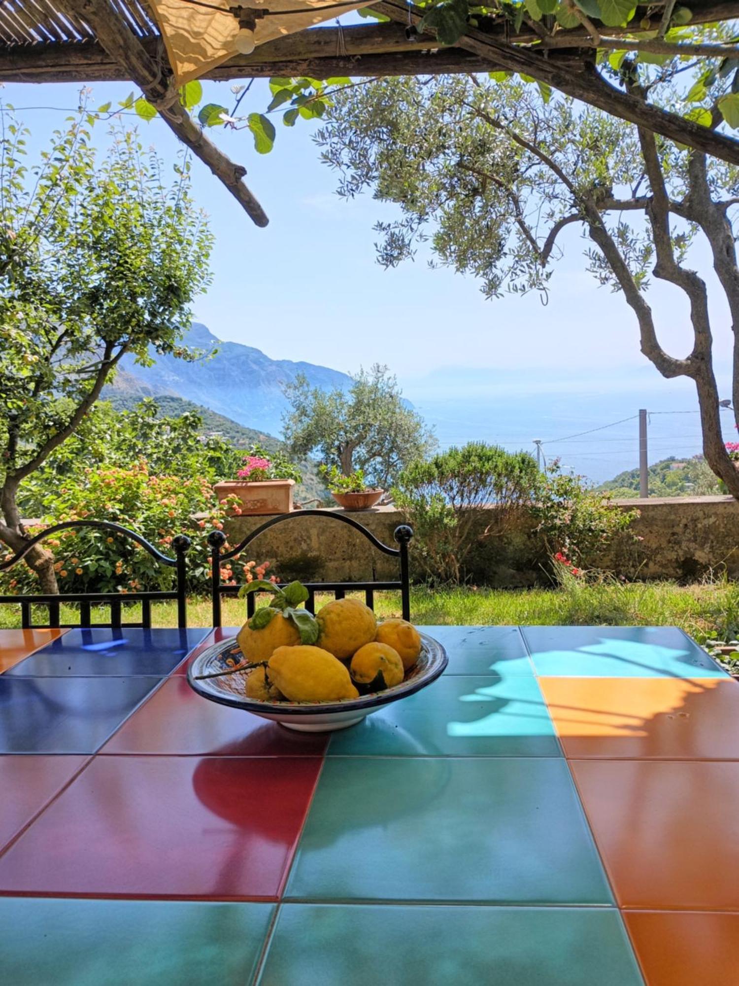Amalfi Coast, Positano, Sorrento, Capri, Garden, Villa Carcara Colli di Fontanelle Exterior foto