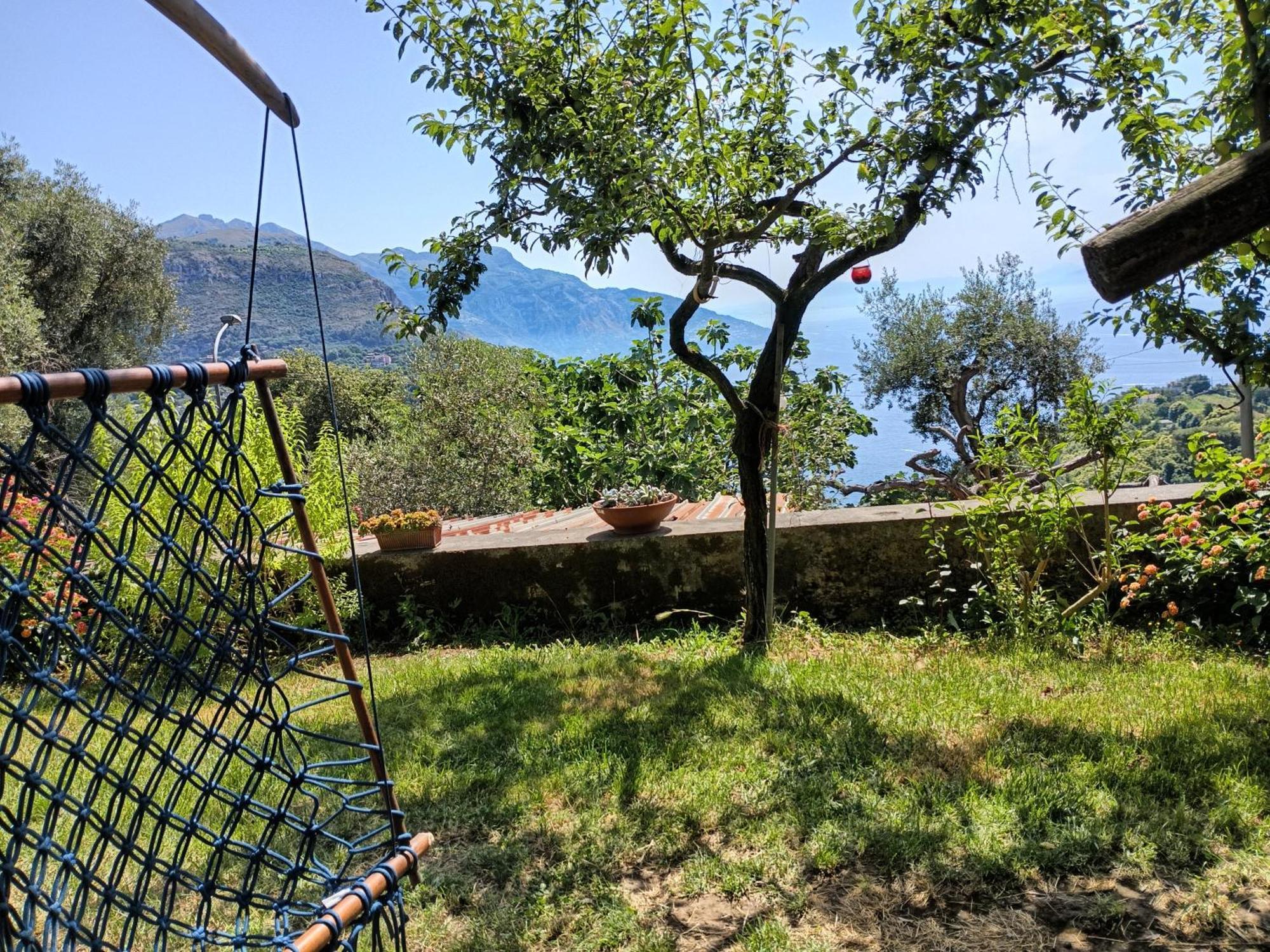 Amalfi Coast, Positano, Sorrento, Capri, Garden, Villa Carcara Colli di Fontanelle Exterior foto