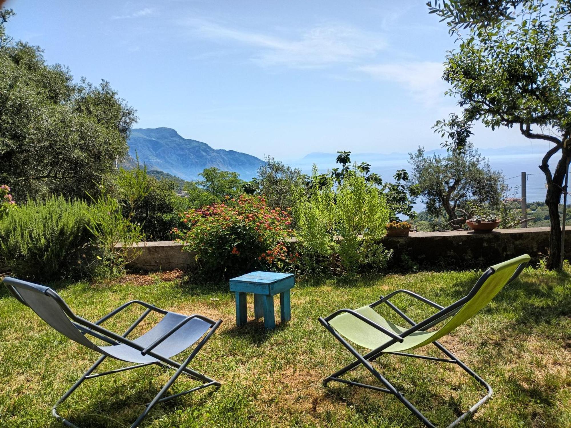Amalfi Coast, Positano, Sorrento, Capri, Garden, Villa Carcara Colli di Fontanelle Exterior foto